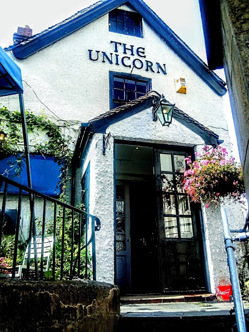 The Unicorn photo