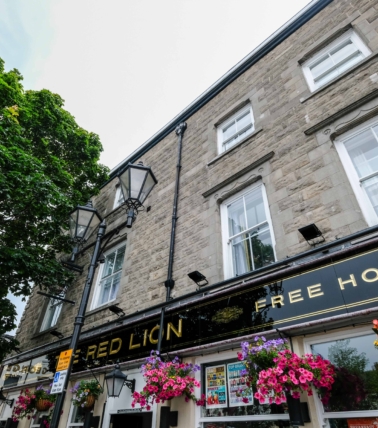 The White Lion — photo 1