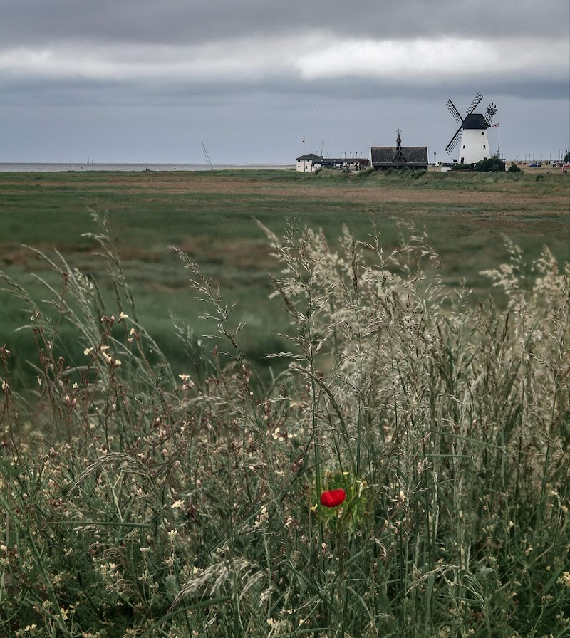 The Windmill photo