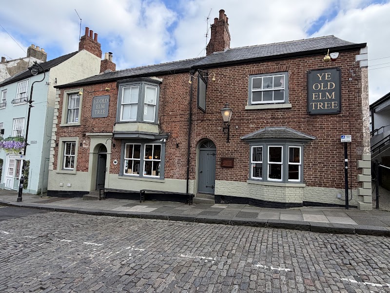 Ye Old Elm Tree photo