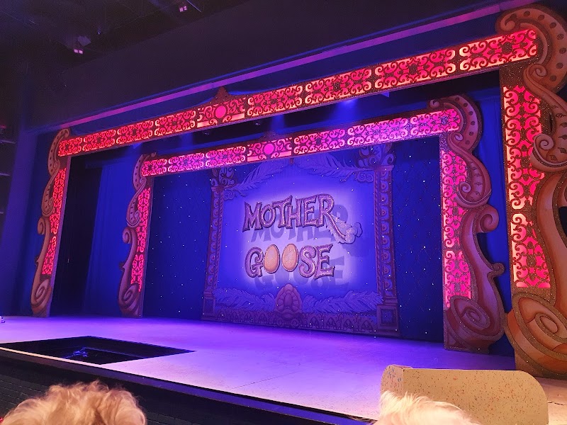 The Octagon Theatre photo