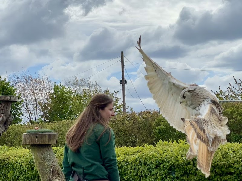 The Owl Sanctuary photo