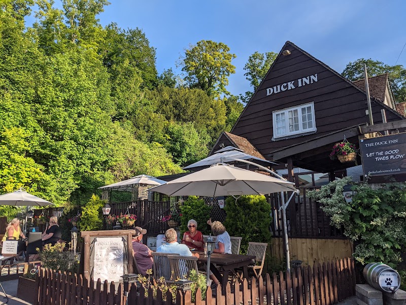 The Duck Inn photo