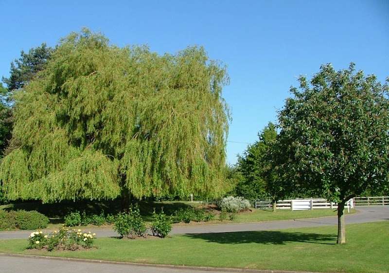 Venue 16 photo