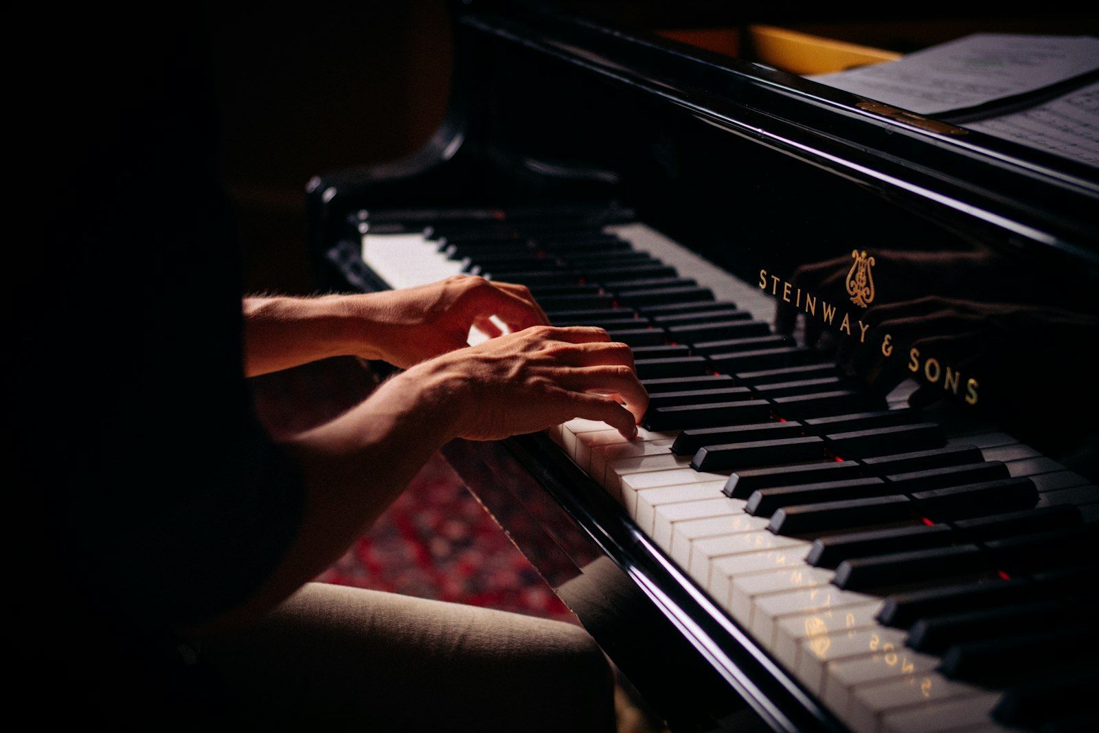 The house Steinway
